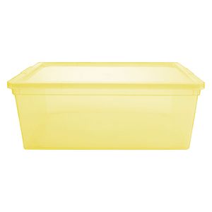 Caja organizadora plástico 6L lima Hacks&Racks