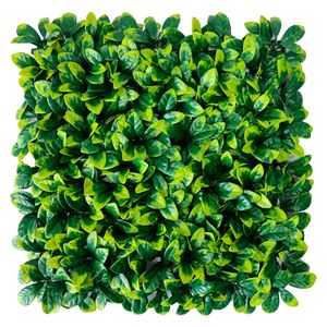 Jardín vertical Euonymus PE 50x50cm Roots