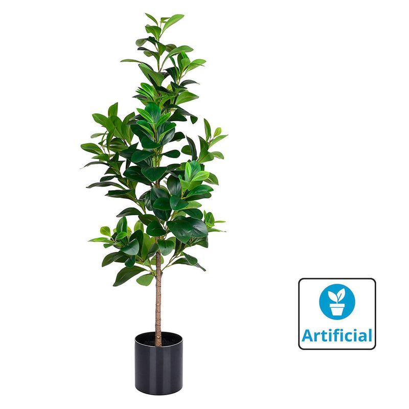 CENCOSUD