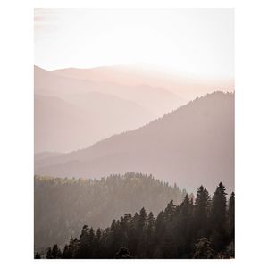 Cuadro canvas D5 40.8x50.8x0.5cm M+Design