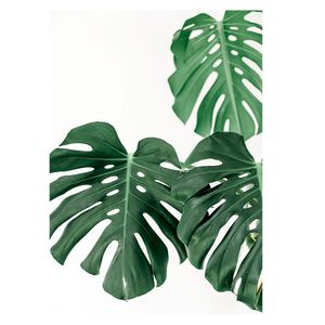 Lámina decorativa D2 70x100cm M+Design