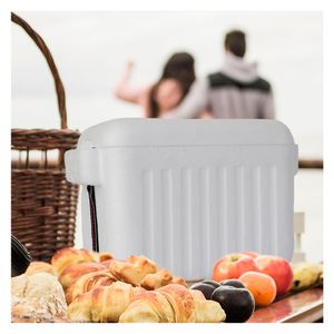 Nevera portátil blanco 10L Thermopor