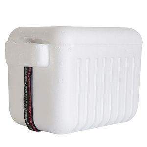 Nevera portátil blanco 5L Thermopor