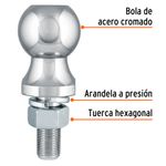 cencosud